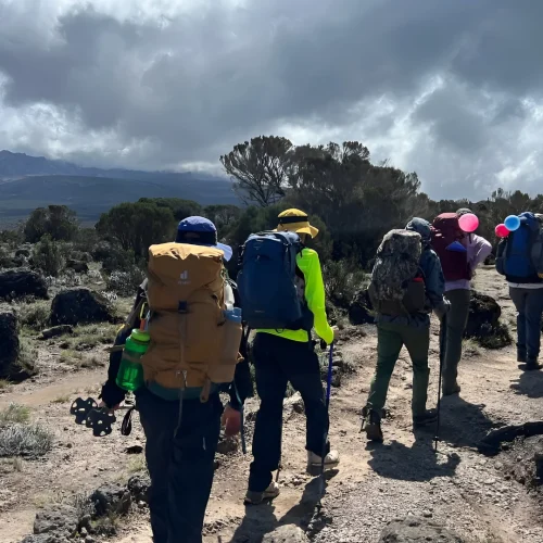 5 Days Kilimanjaro Climb: Marangu Route