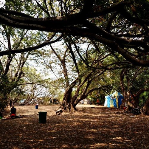 🌴 Chemka (Kikuletwa) Hot Springs Private Day Trip