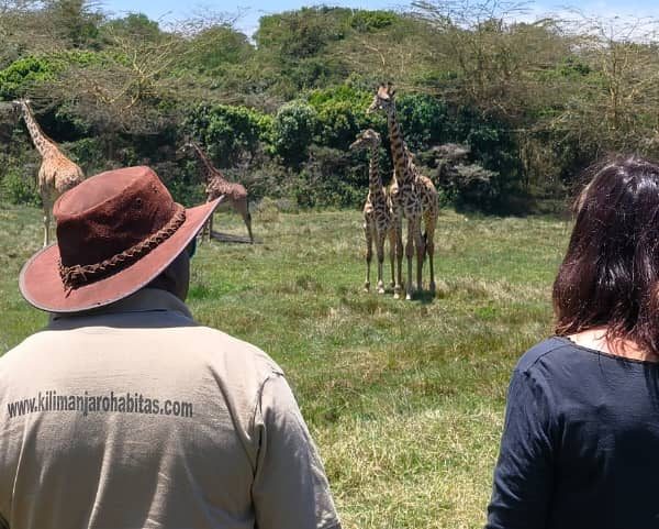 Mapendo at Arusha national park