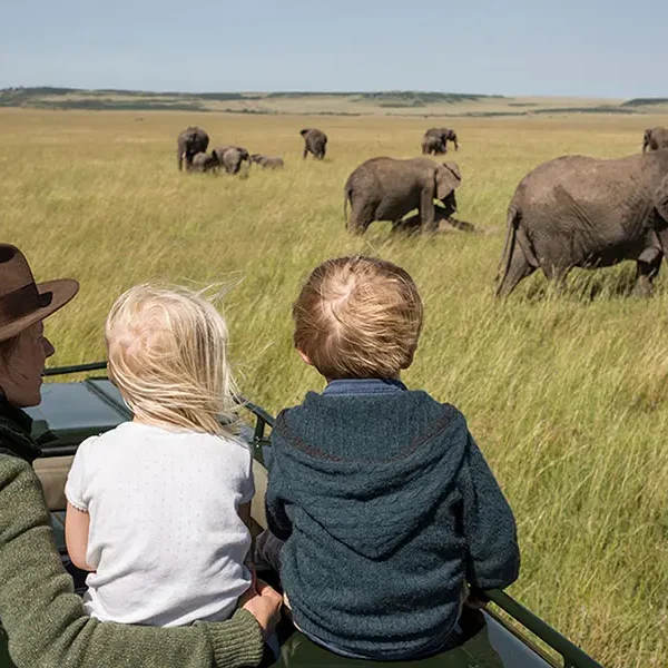 Family Safaris
