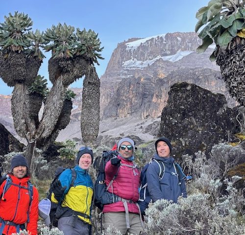 6 Days Kilimanjaro Climb: Machame Route