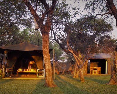 7 Days Tanzania Private Lodge Safari (With Arrival Day Included): Tarangire, Serengeti, Ngorongoro & Manyara