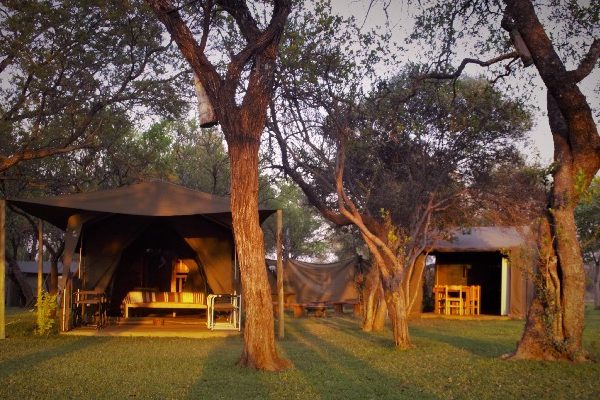 7 Days Tanzania Private Lodge Safari (With Arrival Day Included): Tarangire, Serengeti, Ngorongoro & Manyara