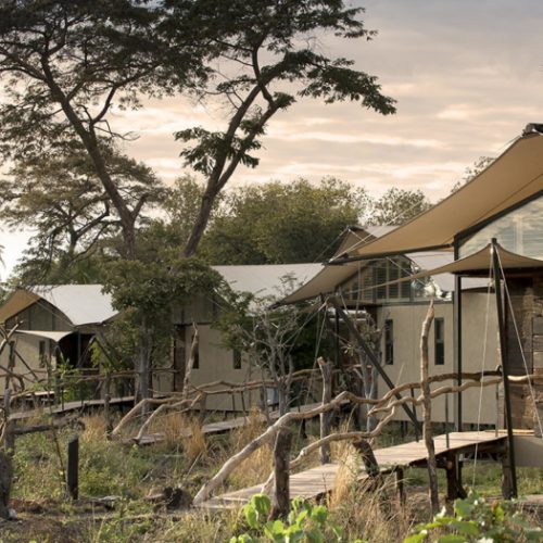 7 Days Tanzania Private Lodge Safari (With Arrival Day Included): Tarangire, Serengeti, Ngorongoro & Manyara