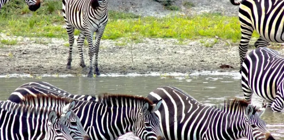 3 Days Tanzania Private Lodge Safari (With Arrival Day Included): Serengeti & Ngorongoro