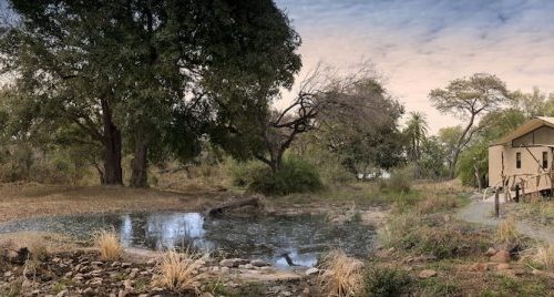 7 Days Tanzania Private Lodge Safari (With Arrival Day Included): Tarangire, Serengeti, Ngorongoro & Manyara