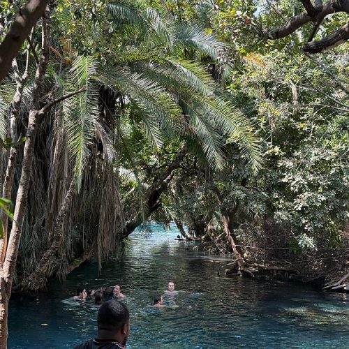 🌴 Chemka (Kikuletwa) Hot Springs Private Day Trip