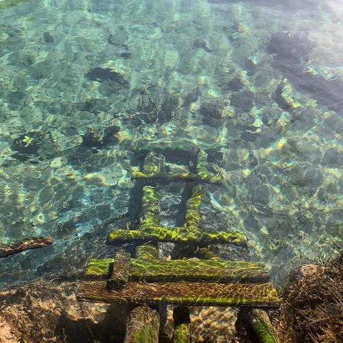 🌴 Chemka (Kikuletwa) Hot Springs Private Day Trip