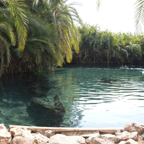 🌴 Chemka (Kikuletwa) Hot Springs Private Day Trip