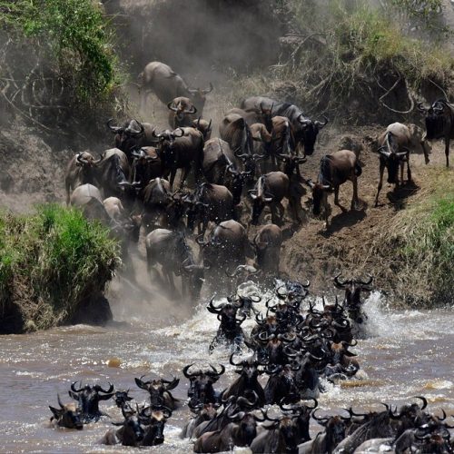 🌹5 Days Fly-in Serengeti Migration Luxury Honeymoon Safari: Tarangire & Ngorongoro & Serengeti with Balloon Safaris