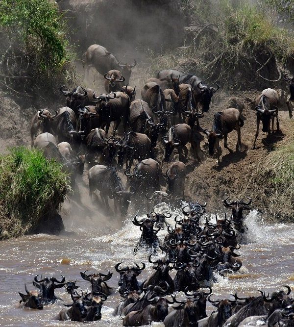 🌹5 Days Fly-in Serengeti Migration Luxury Honeymoon Safari: Tarangire & Ngorongoro & Serengeti with Balloon Safaris