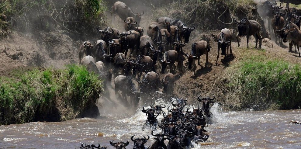 🌹5 Days Fly-in Serengeti Migration Luxury Honeymoon Safari: Tarangire & Ngorongoro & Serengeti with Balloon Safaris