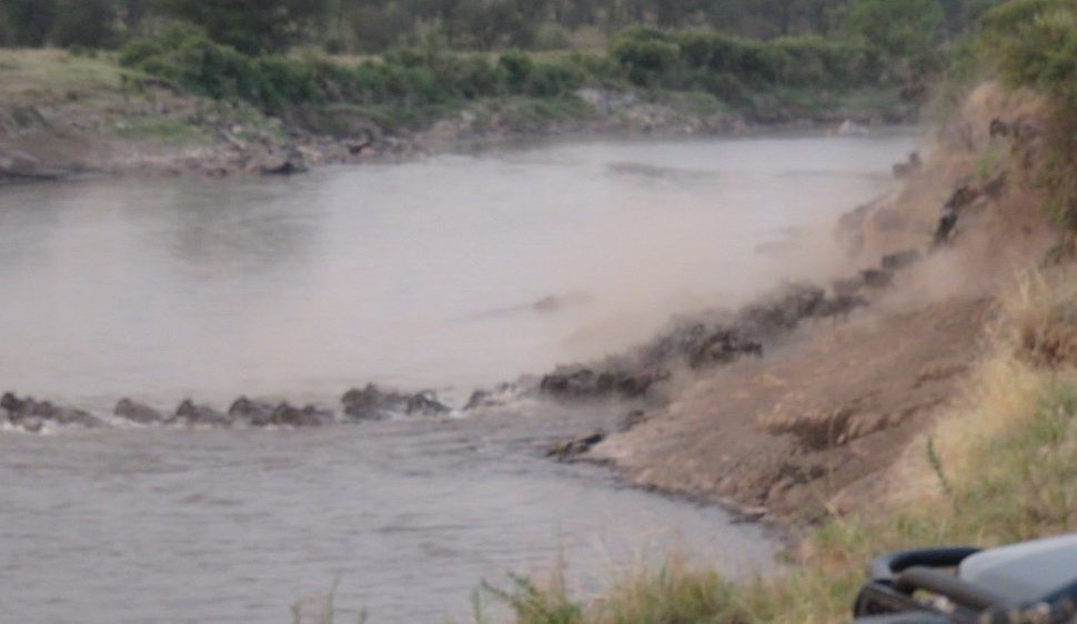 🌹5 Days Fly-in Serengeti Migration Luxury Honeymoon Safari: Tarangire & Ngorongoro & Serengeti with Balloon Safaris