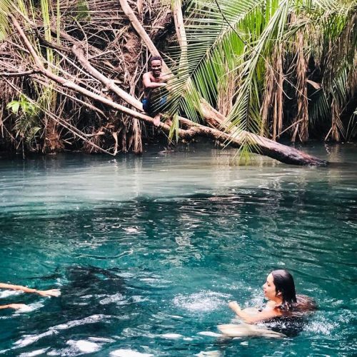 🌴 Chemka (Kikuletwa) Hot Springs Private Day Trip