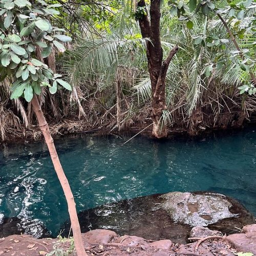 🌴 Chemka (Kikuletwa) Hot Springs Private Day Trip