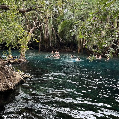 🌴 Chemka (Kikuletwa) Hot Springs Private Day Trip