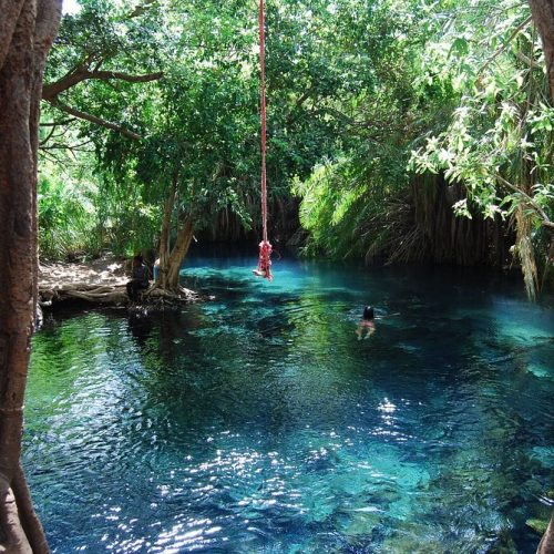 🌴 Chemka (Kikuletwa) Hot Springs Private Day Trip