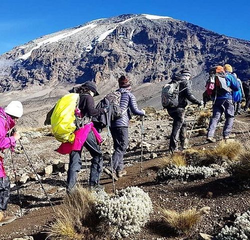 6 Days Kilimanjaro Climb: Machame Route