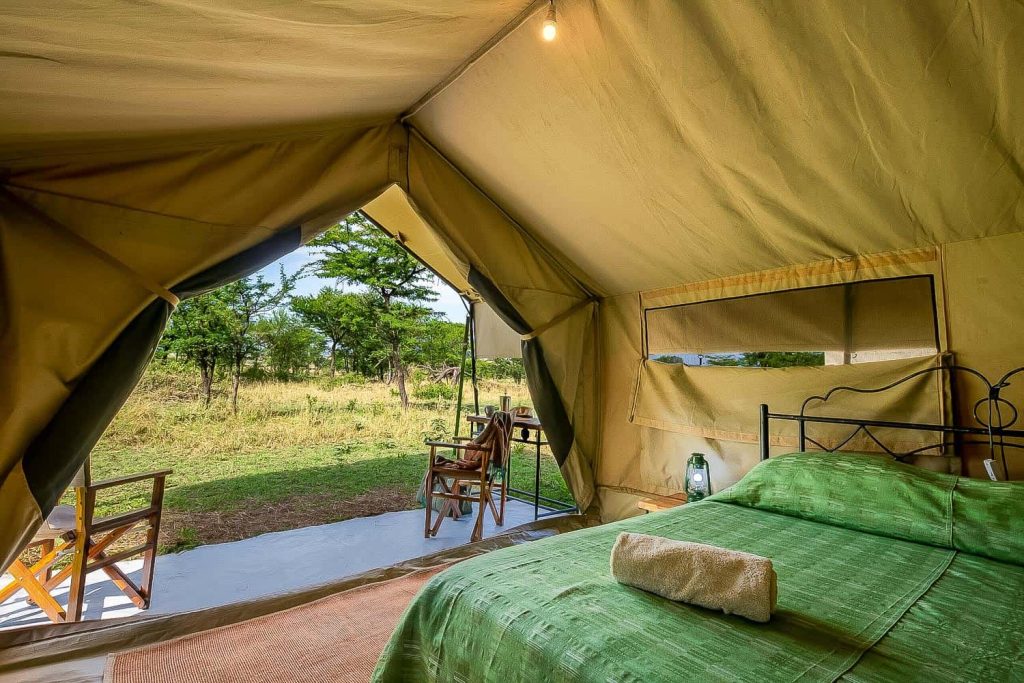 5 Days Tanzania Private Lodge Safari (With Arrival Day Included): Tarangire, Serengeti & Ngorongoro