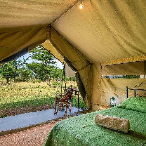 5 Days Tanzania Private Lodge Safari (With Arrival Day Included): Tarangire, Serengeti & Ngorongoro