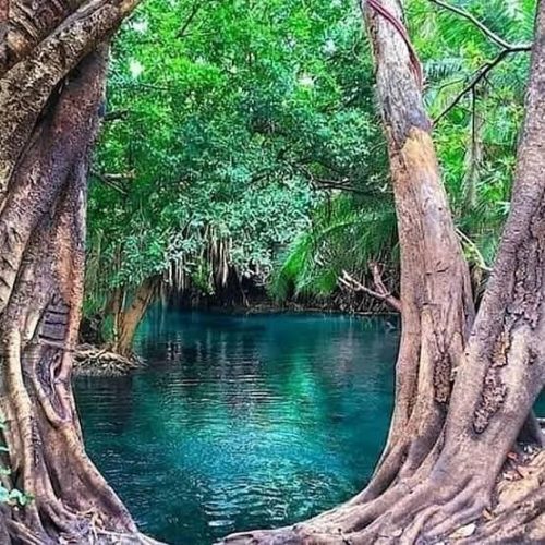 🌴 Chemka (Kikuletwa) Hot Springs Private Day Trip