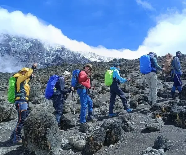 lemosho route