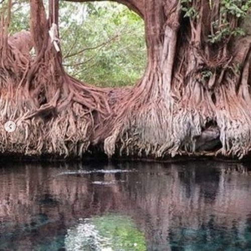 🌴 Chemka (Kikuletwa) Hot Springs Private Day Trip