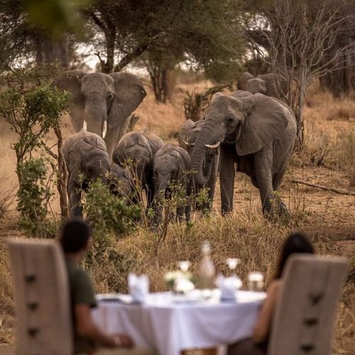 🌹5 Days Fly-in Serengeti Migration Luxury Honeymoon Safari: Tarangire & Ngorongoro & Serengeti with Balloon Safaris