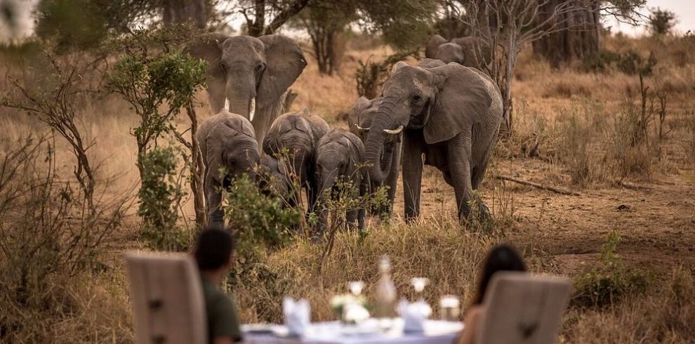 🌹5 Days Fly-in Serengeti Migration Luxury Honeymoon Safari: Tarangire & Ngorongoro & Serengeti with Balloon Safaris