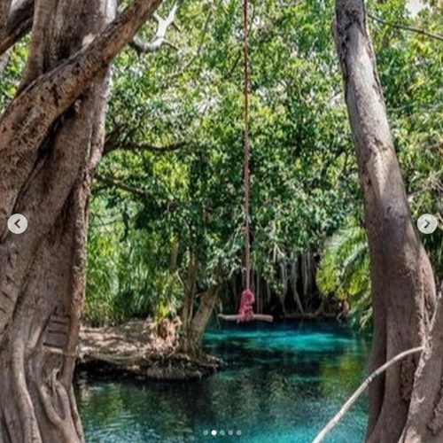 🌴 Chemka (Kikuletwa) Hot Springs Private Day Trip