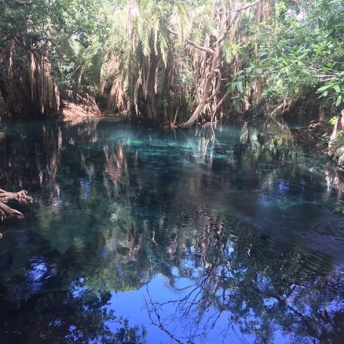 🌴 Chemka (Kikuletwa) Hot Springs Private Day Trip