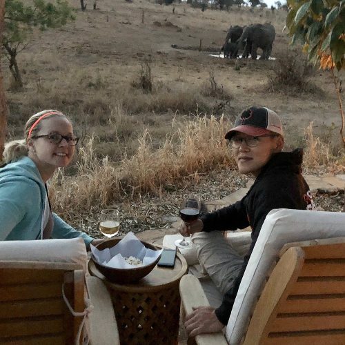 2 Days Tanzania Luxury Honeymoon Safari (Included Arrival Day): Tarangire & Lake Manyara