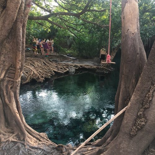 🌴 Chemka (Kikuletwa) Hot Springs Private Day Trip