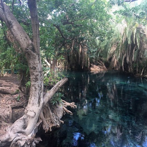 🌴 Chemka (Kikuletwa) Hot Springs Private Day Trip