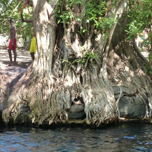 🌴 Chemka (Kikuletwa) Hot Springs Private Day Trip