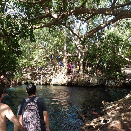 🌴 Chemka (Kikuletwa) Hot Springs Private Day Trip