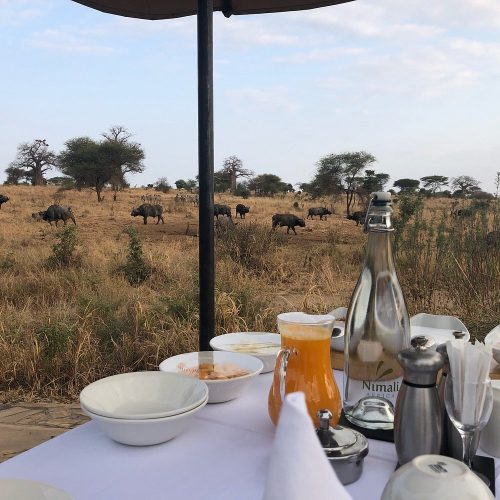 2 Days Tanzania Luxury Honeymoon Safari (Included Arrival Day): Tarangire & Lake Manyara