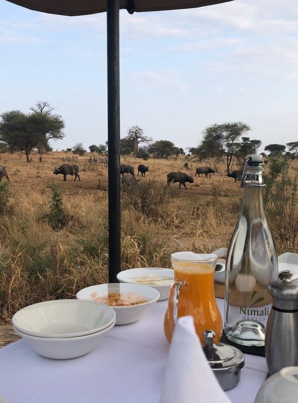 2 Days Tanzania Luxury Honeymoon Safari (Included Arrival Day): Tarangire & Lake Manyara