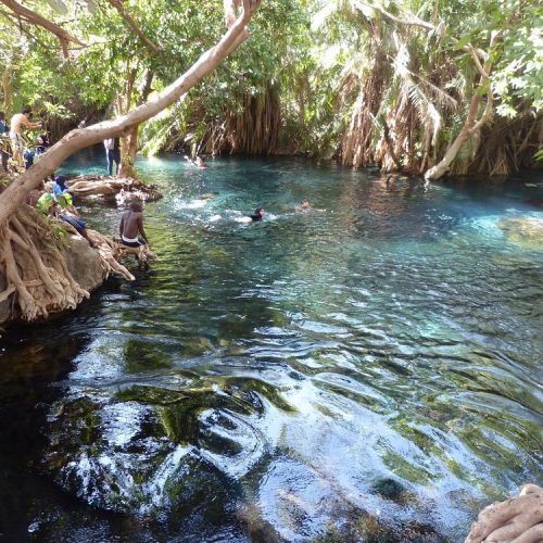 🌴 Chemka (Kikuletwa) Hot Springs Private Day Trip