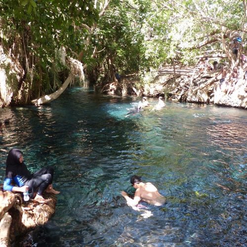 🌴 Chemka (Kikuletwa) Hot Springs Private Day Trip