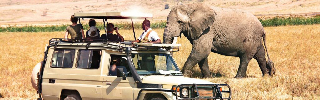 7 Days Tanzania Budget Group Join Safari: Lake Manyara, Tarangire, Serengeti & Ngorongoro