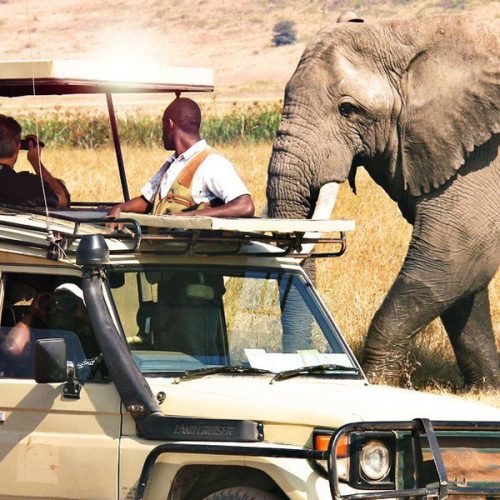 7 Days Tanzania Budget Group Join Safari: Lake Manyara, Tarangire, Serengeti & Ngorongoro