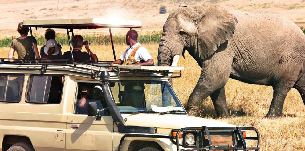 7 Days Tanzania Budget Group Join Safari: Lake Manyara, Tarangire, Serengeti & Ngorongoro