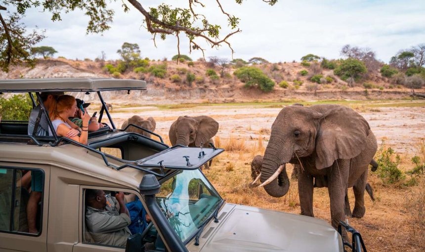 tanzania-safari-itinerary | Kilimanjaro Habitas
