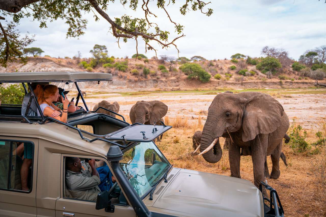 tanzania-safari-itinerary | Kilimanjaro Habitas