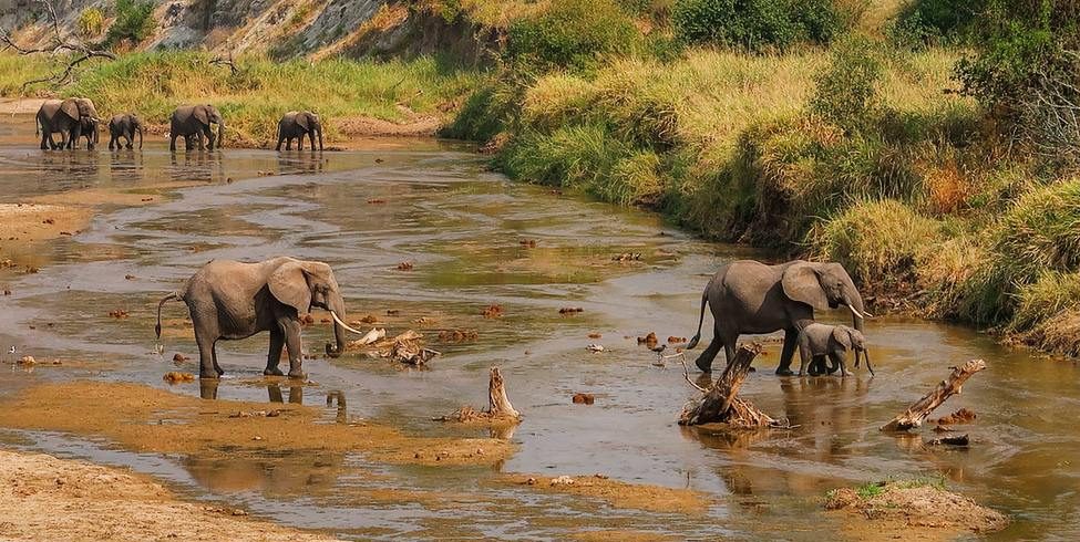 2 Days Tanzania Budget Group Join Safari: Lake Manyara & Tarangire