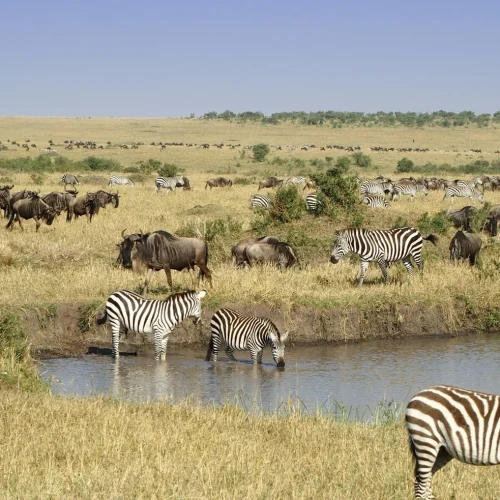 Top Tanzania Travel Destinations | Kilimanjaro Habitas Safaris