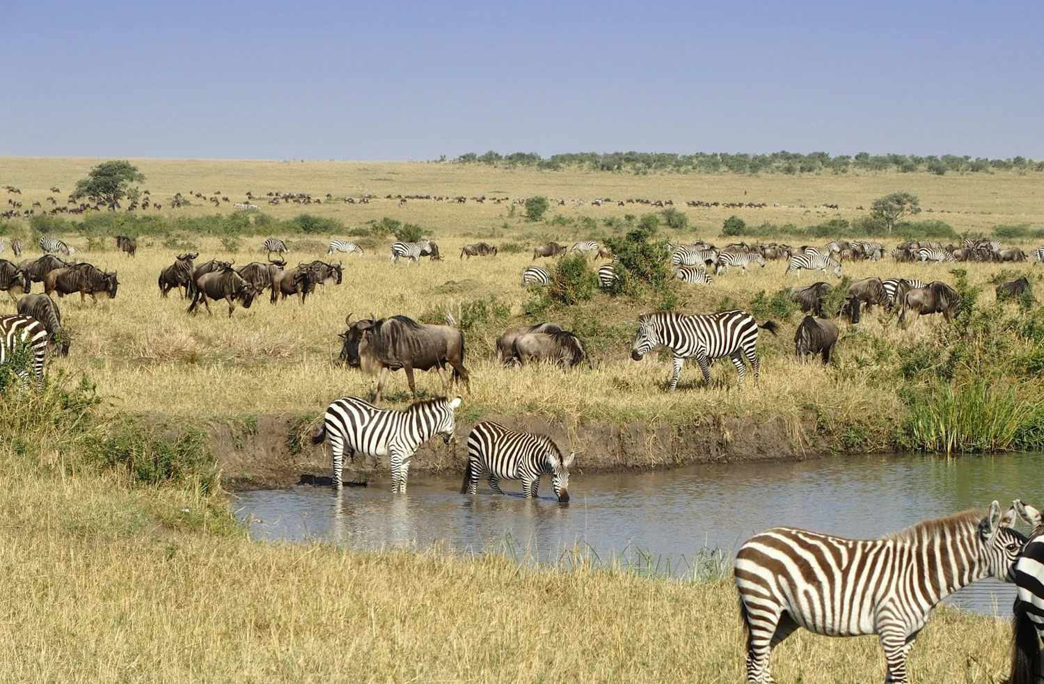 Top Tanzania Travel Destinations | Kilimanjaro Habitas Safaris