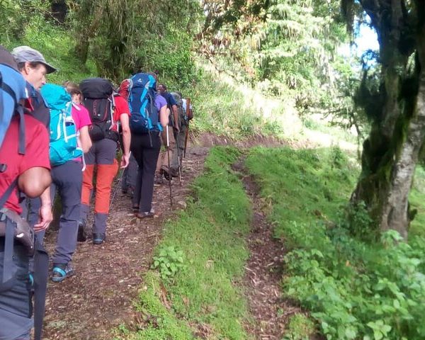 6-Day Mount Meru Trekking Tour: 4 Days Momella Route
