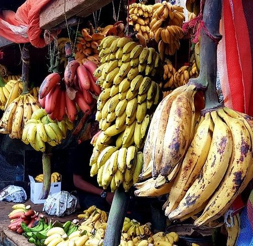 Zanzibar Stone Town Day Trip: Cultural & Historical Walking Tour